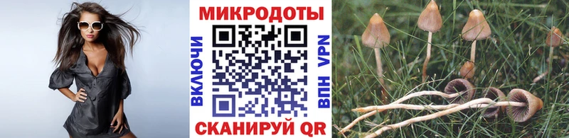 Псилоцибиновые грибы Cubensis  купить наркотик  Пикалёво 
